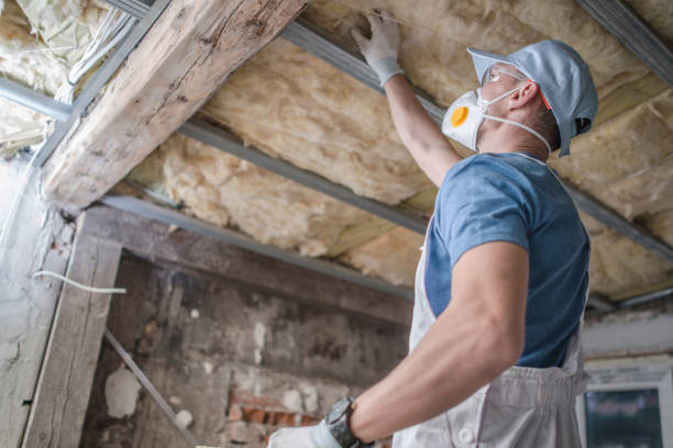 Best Residential Insulation Services  in Dodge City, KS