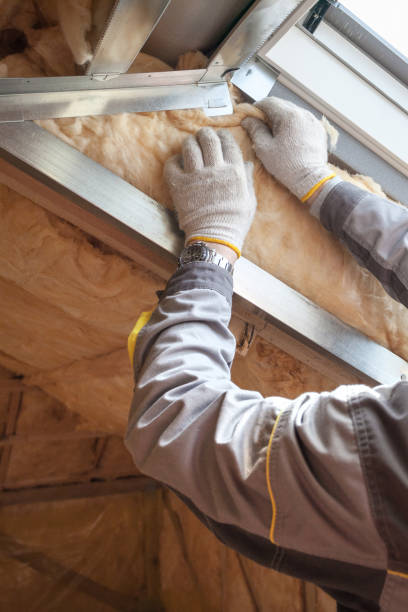 Best Insulation for Commercial Buildings  in Dodge City, KS