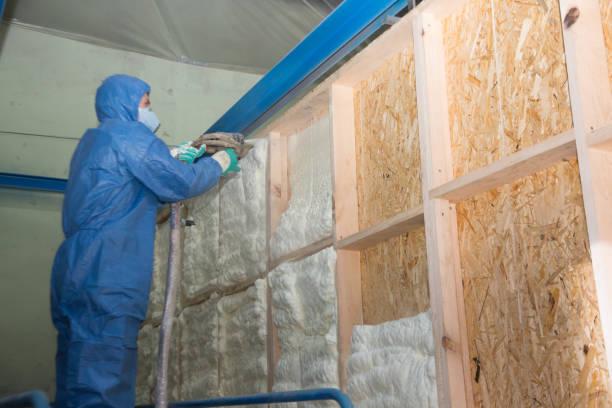 Best Commercial Insulation Contractor  in Dodge City, KS