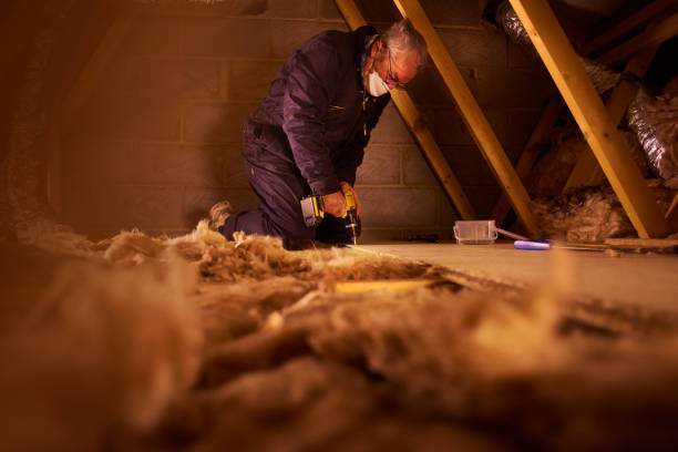 Best Insulation Contractors for Homes  in Dodge City, KS